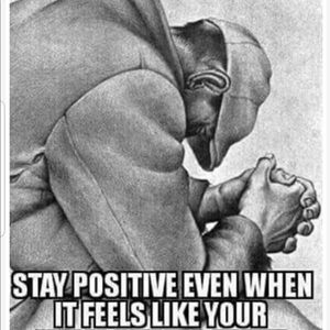 Meet your Posher, Barbara